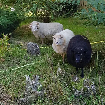 Pey Sud 度假居 Sistels