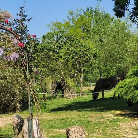 度假居 Pey Sud Sistels