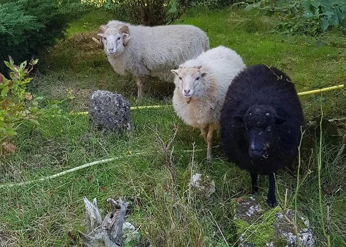 Pey Sud Holiday home Sistels