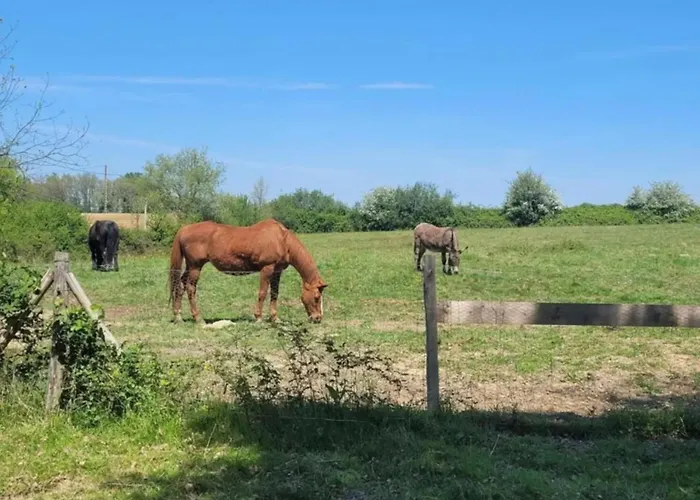 Pey Sud بيت للعطل