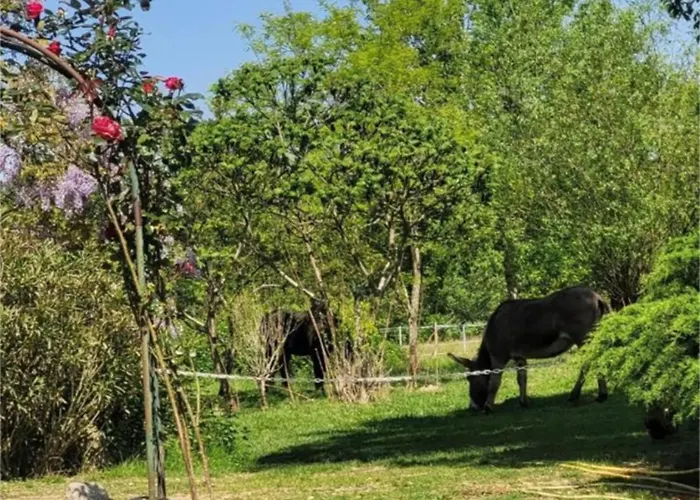 Holiday home Pey Sud Sistels